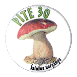 20 km-es kitüzője